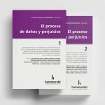 El Proceso De Daños Y Perjuicios 2 Ts.