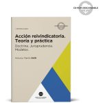 Acción Reivindicatoria - Teoria Y Practica