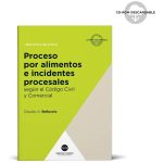 Proceso Por Alimentos E Incidentes (teoría)