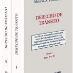 Derecho De Tránsito - Ley 24.449 Comentada Y Concordada