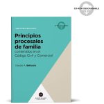 Principios Procesales De Familia Cccn