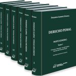 Derecho Penal Parte General (edición Rustica)