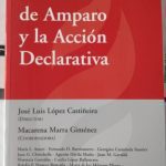 La Acción De Amparo Y La Acción Declarativa