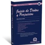 Gpp Juicio De Daños Y Perjuicios
