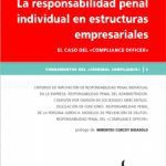 Responsabilidad Penal Individual Estructuras Empresariales