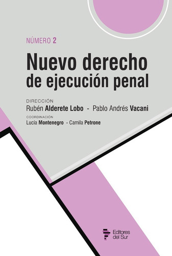Nuevo Derecho De Ejecución Penal Tomo Ii, De Alderete Lobo, Rubén A. Y Vacani, Pablo. Editorial Editores Del Sur, Tapa Blanda En Español, 2022