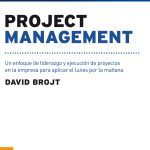 Project Management, Liderazgo Y Ejecución De Proyectos
