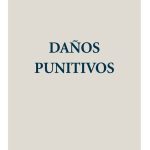 Daños Punitivos - Favier