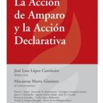La Acción De Amparo Y La Acción Declarativa