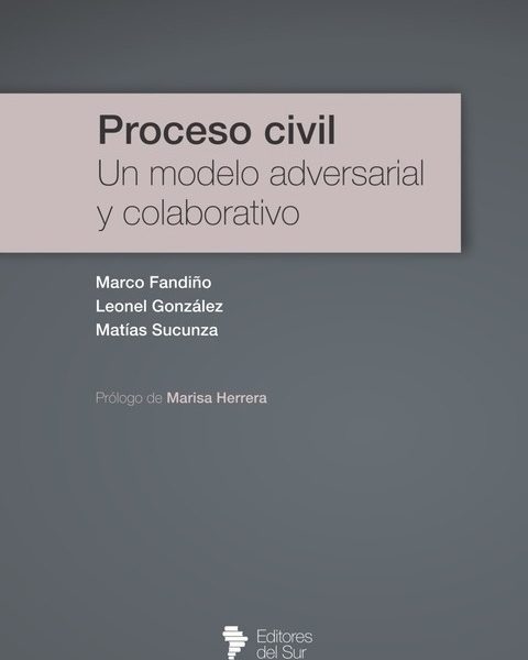 Proceso Civil, Un Modelo Adversarial Y Colaborativo