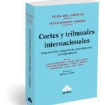 Cortes Y Tribunales Internacionales - Incluye Jurisprudencia