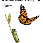 Reinventarse Tu Segunda Oportunidad - Puig - Ultima Edicion