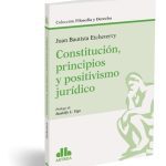 Constitución, Principios Y Positivismo Jurídico