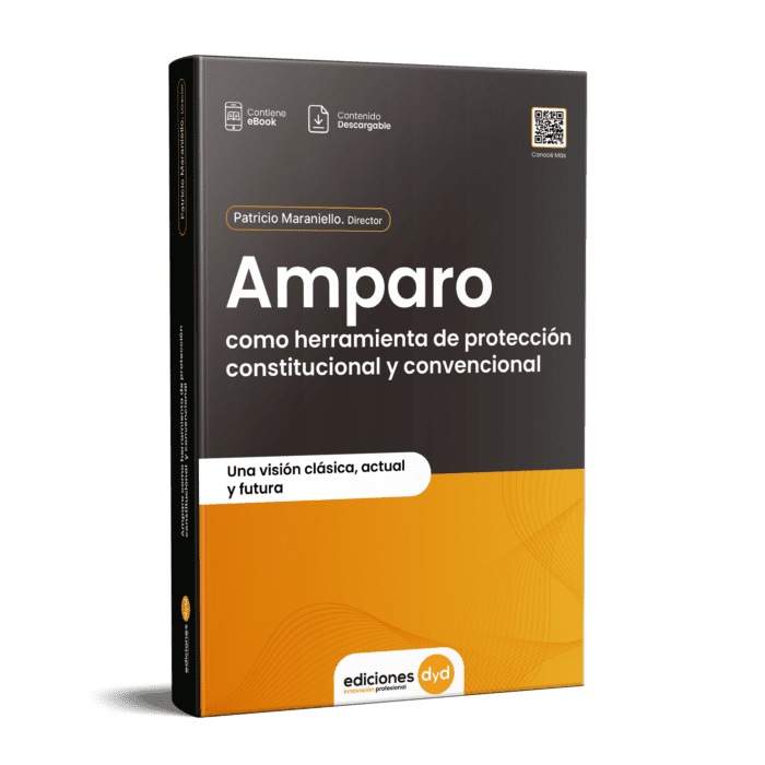Amparo Como Herramienta de Protección Constitucional y Convencional - Imagen 1