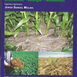 El Petróleo Verde - Jorge Molina