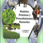 Modelos Prácticas Y Procedimientos Pastoriles