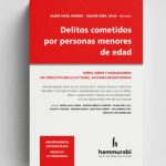 Delitos Cometidos Por Personas Menores De Edad