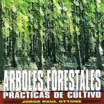 Arboles Forestales - Prácticas De Cultivo - Ottone