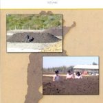 Compostaje En La Argentina Experiencias Evolucion - Mazzarin