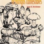 Producción Y Comercialización De Hongos Comestibles