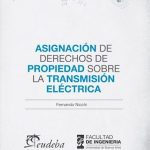Asignación De Derechos De Propiedad - Nicchi - Eudeba