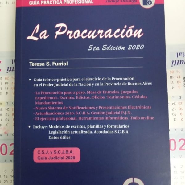 Guia Practica Profesional La Procuracion Teresa Furriol