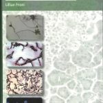 Microbiología Básica, Ambiental Y Agrícola - Frioni