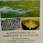 Alteraciones De La Fertilidad De Los Suelos - Taboada