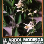 El Árbol Moringa - Utilización Composición Y Producción