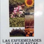 Las Enfermedades De Las Plantas