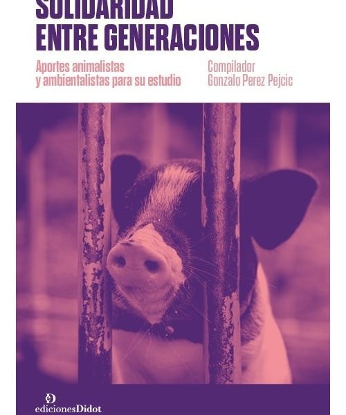 Solidaridad Entre Generaciones - Perez Pejcic