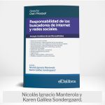 Responsabilidad De Los Buscadores De Internet Y Redes Social