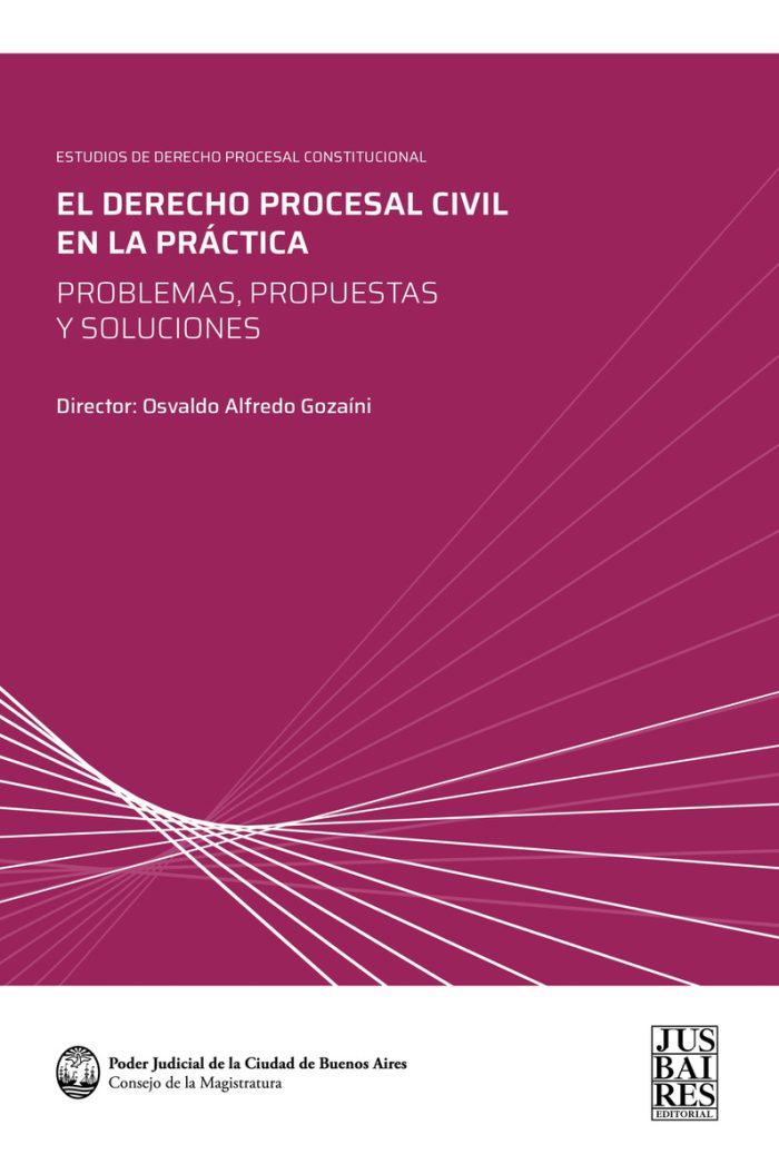 El Derecho Procesal Civil En La Practica - Imagen 1