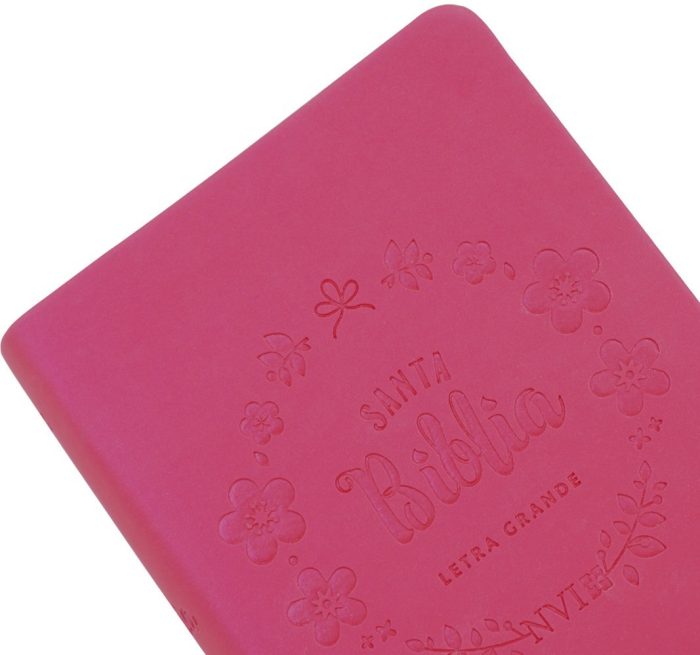 Biblia Nvi Letra Grande, Edicion Bolsillo - Imit. Piel - Imagen 1