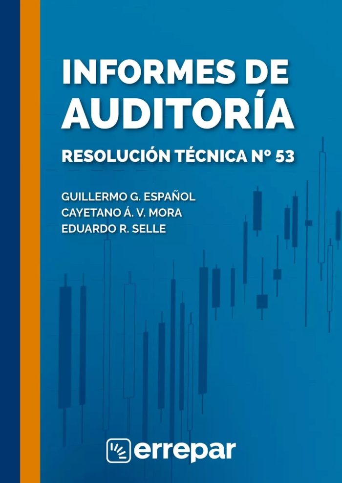 Informes De Auditoría R.t. N° 53 - Español / Mora / Selle - Imagen 1