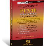 Guía De Estudio De Penal Parte General - Enfoque Finalista
