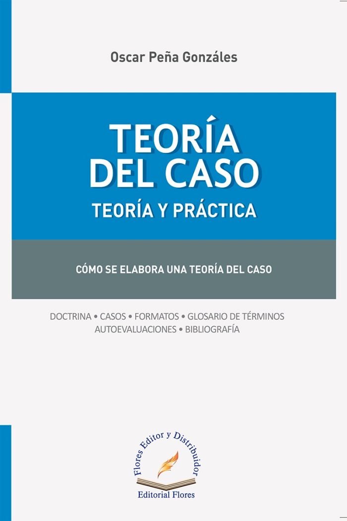 Teoria Del Caso - Cómo Se Elabora Una Teoría Del Caso - Imagen 1