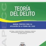 Teoría Del Delito- Manual Para Su Aplicación En El Caso