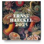 Calendario De Pared Ernst Haeckel 2025