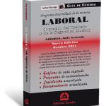 Guía De Estudio De Laboral
