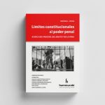 Límites Constitucionales Al Poder Penal - Vitale