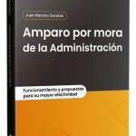 Amparo Por Mora De La Administración: Funcionamiento Y Propuestas Para Su Mayor Efectividad, De Juan Marcelo Gavaldá. Editorial Dyd, Tapa Blanda, Edición 2023 En Español, 2023