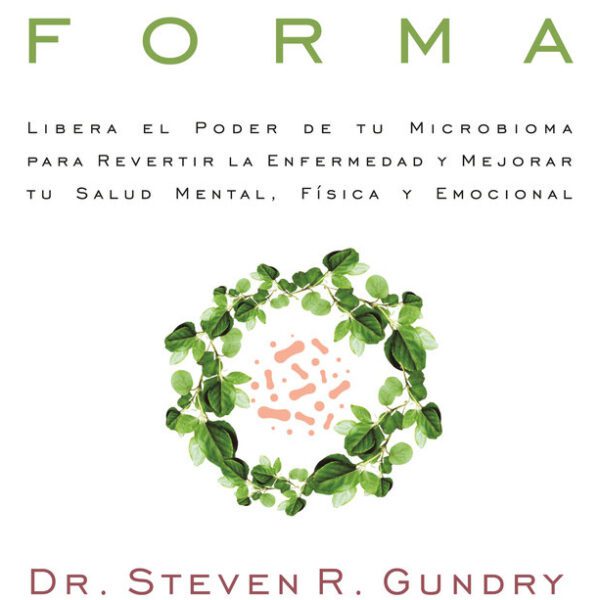 Intestino En Forma