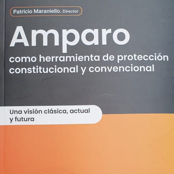 Amparo: Como Herramienta De Protección Constitucional Y Convencional, De Maraniello Patricio A. Editorial Dyd, Tapa Blanda, Edición 1 En Español, 2023