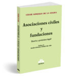 Asociaciones civiles y fundaciones, Teoría y práctica legal