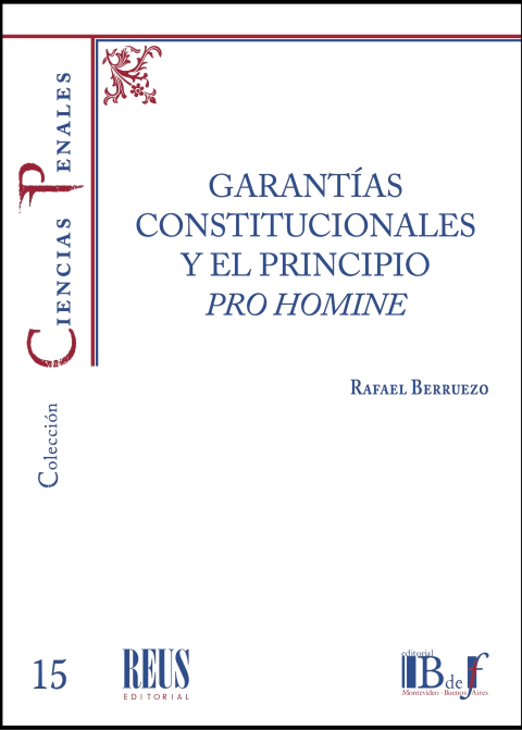 Garantías constitucionales y el principio pro homine Garantías constitucionales y el principio pro homine - Imagen 1